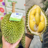  Sầu riêng 6 Hữu (Kg) 