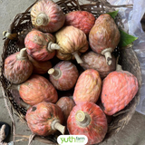 Na Hồng 