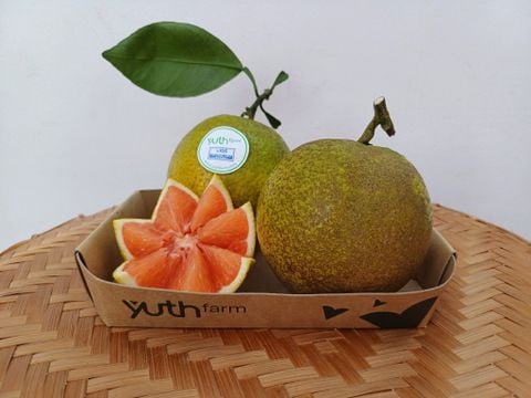  Cam Cara [Giao trong TP. Hồ Chí Minh; Trừ Cần Giờ, Hóc Môn, Củ Chi] 