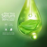  Mỹ phẩm serum từ Aloe 