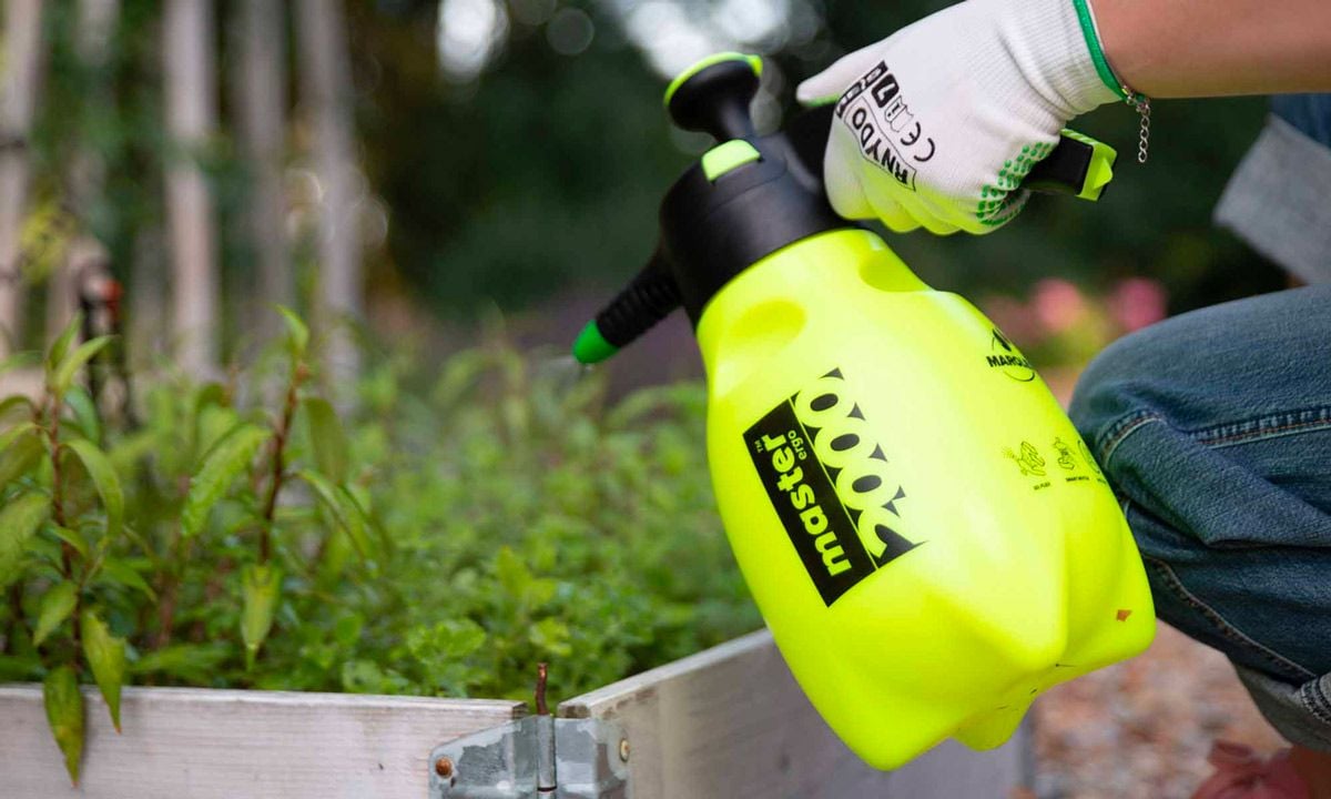  Bình phun Sprayer Master Ergo 