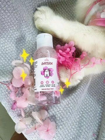  Gel tắm cho mèo Diva Sakura 55ml 