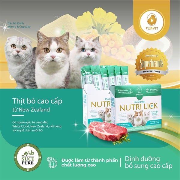  Que dinh dưỡng cao cấp cho mèo Furvit Nutri Lick - Vị thịt bò 