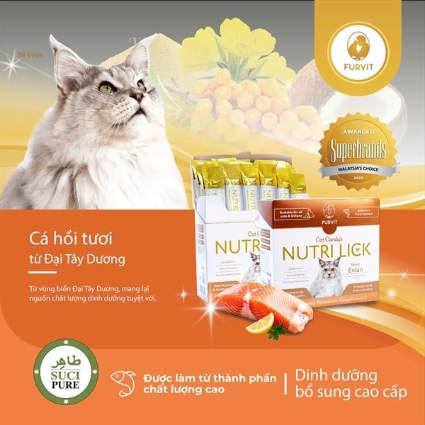  Que dinh dưỡng cao cấp cho mèo Furvit Nutri Lick - Vị cá hồi 