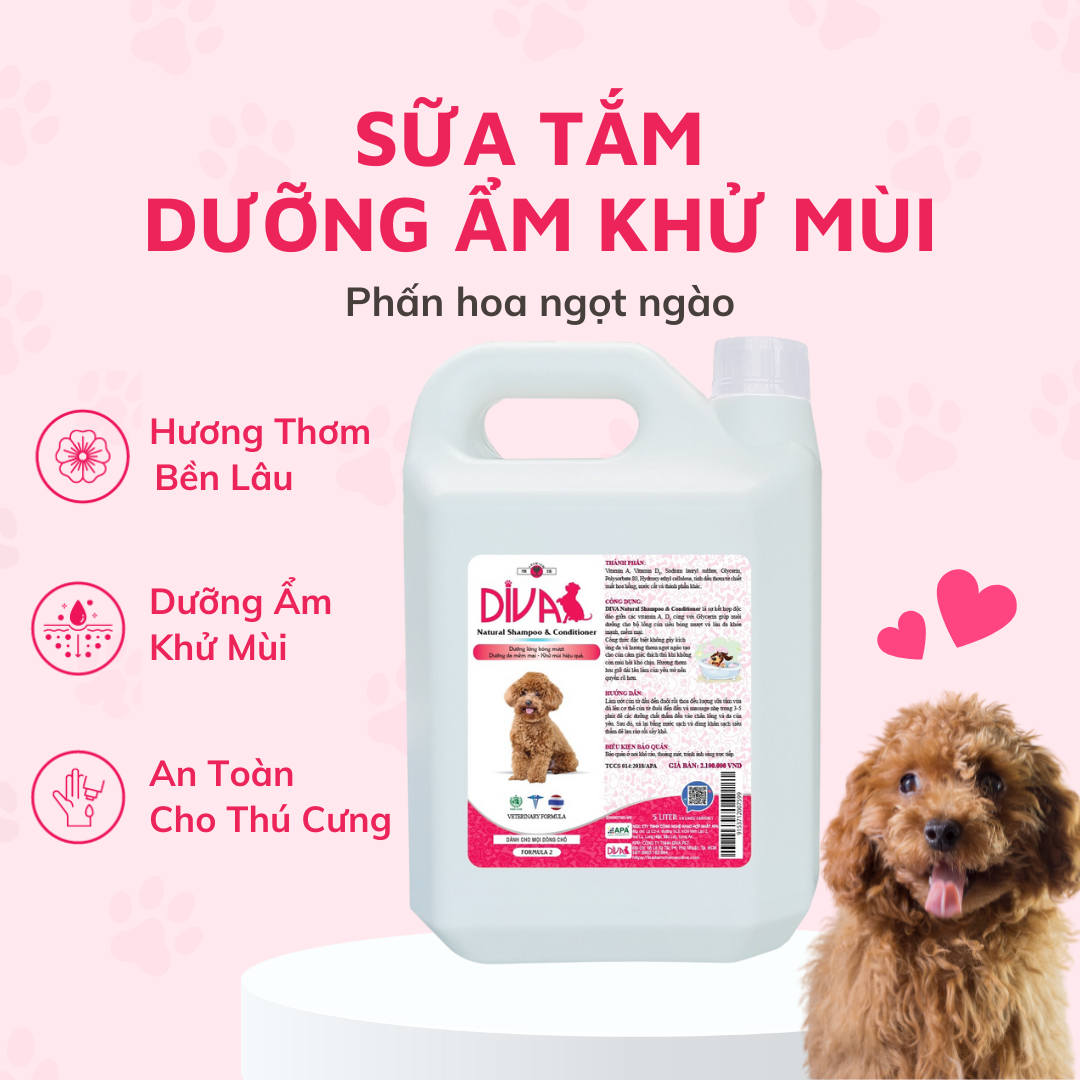  Sữa tắm dưỡng ẩm khử mùi DIVA Hồng 5L 