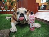  Sữa tắm chó dưỡng ẩm khử mùi DIVA Hồng 260ml 