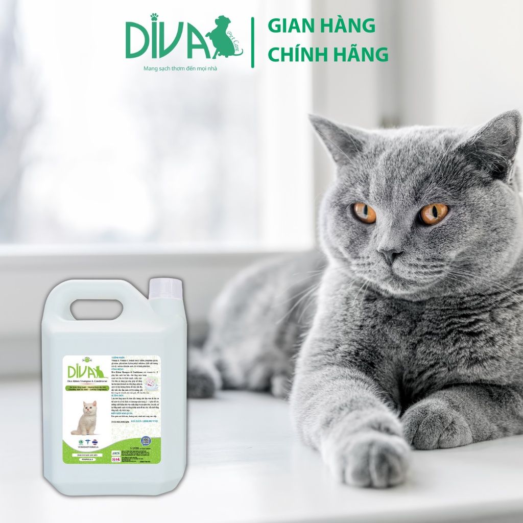  Sữa tắm mèo DIVA Kitten gel 5L 