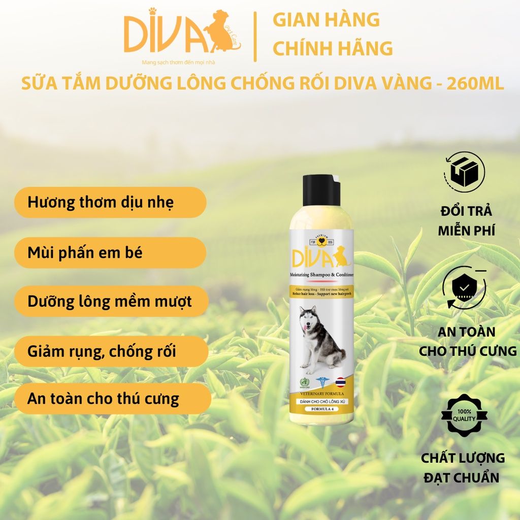  Sữa tắm chó dưỡng lông chống rối DIVA Vàng 260ml 