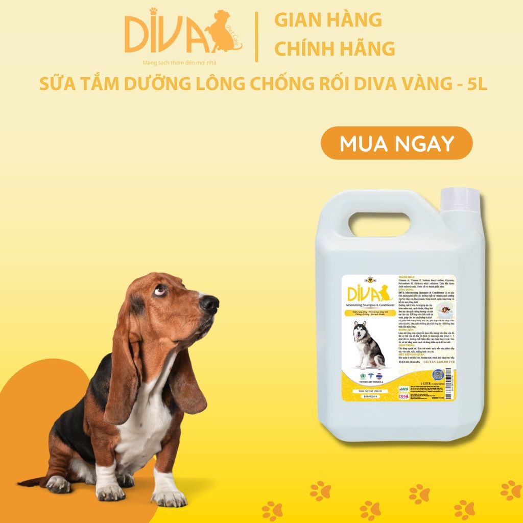  Sữa tắm chó dưỡng lông chống rối DIVA Vàng 5L 