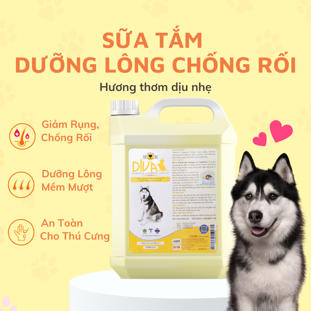  Sữa tắm chó dưỡng lông chống rối DIVA Vàng 2L 