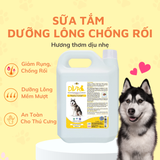  Sữa tắm chó dưỡng lông chống rối DIVA Vàng 5L 