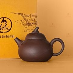 Ấm Trà An Thổ Túc Quả Bí