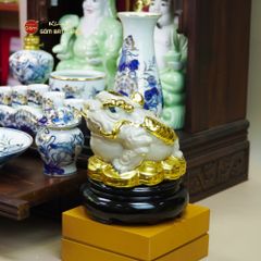 Thiềm Thừ Ngậm Tiền Phong Thủy Dát Vàng
