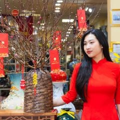 Bình Cắm Hoa Dáng Chuông Đan Nan