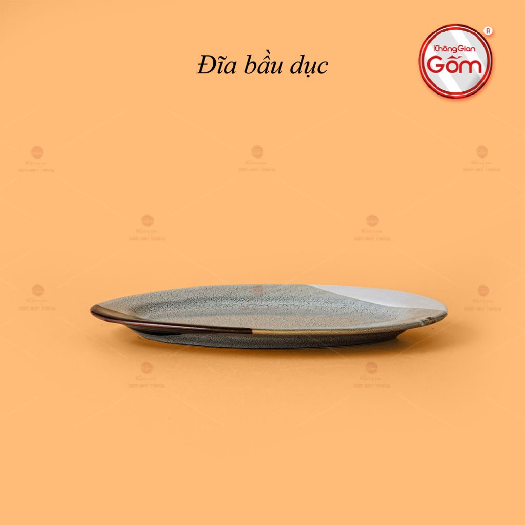 Đĩa Bầu Dục Ba Màu