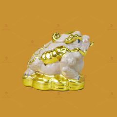 Thiềm Thừ Ngậm Tiền Phong Thủy Dát Vàng