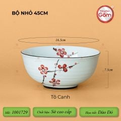 Bộ Bát Đĩa Hoa Mặt Trời Đào Đỏ
