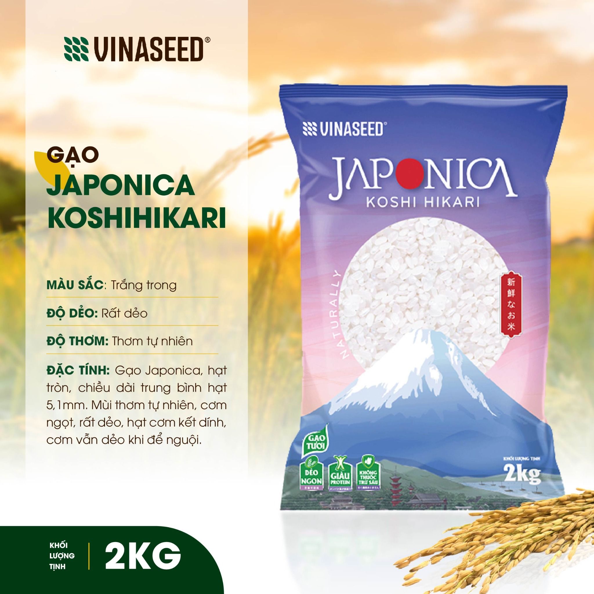  Gạo Nhật Japonica Koshi Vinaseed 