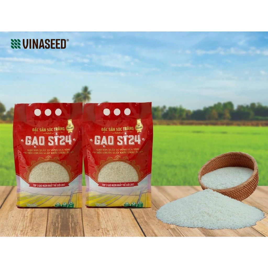  Gạo ST24 Vinaseed Túi 5Kg 