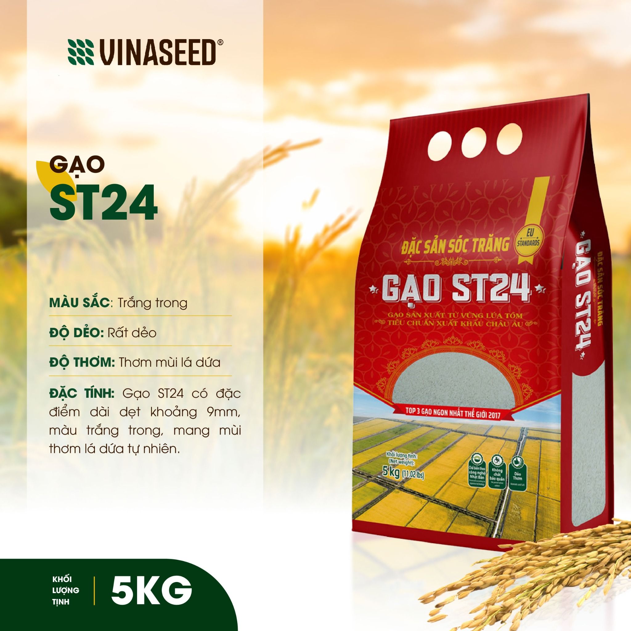  Gạo ST24 Vinaseed Túi 5Kg 