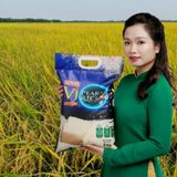  Gạo VJ Pearl Rice Vinaseed Túi 5kg 