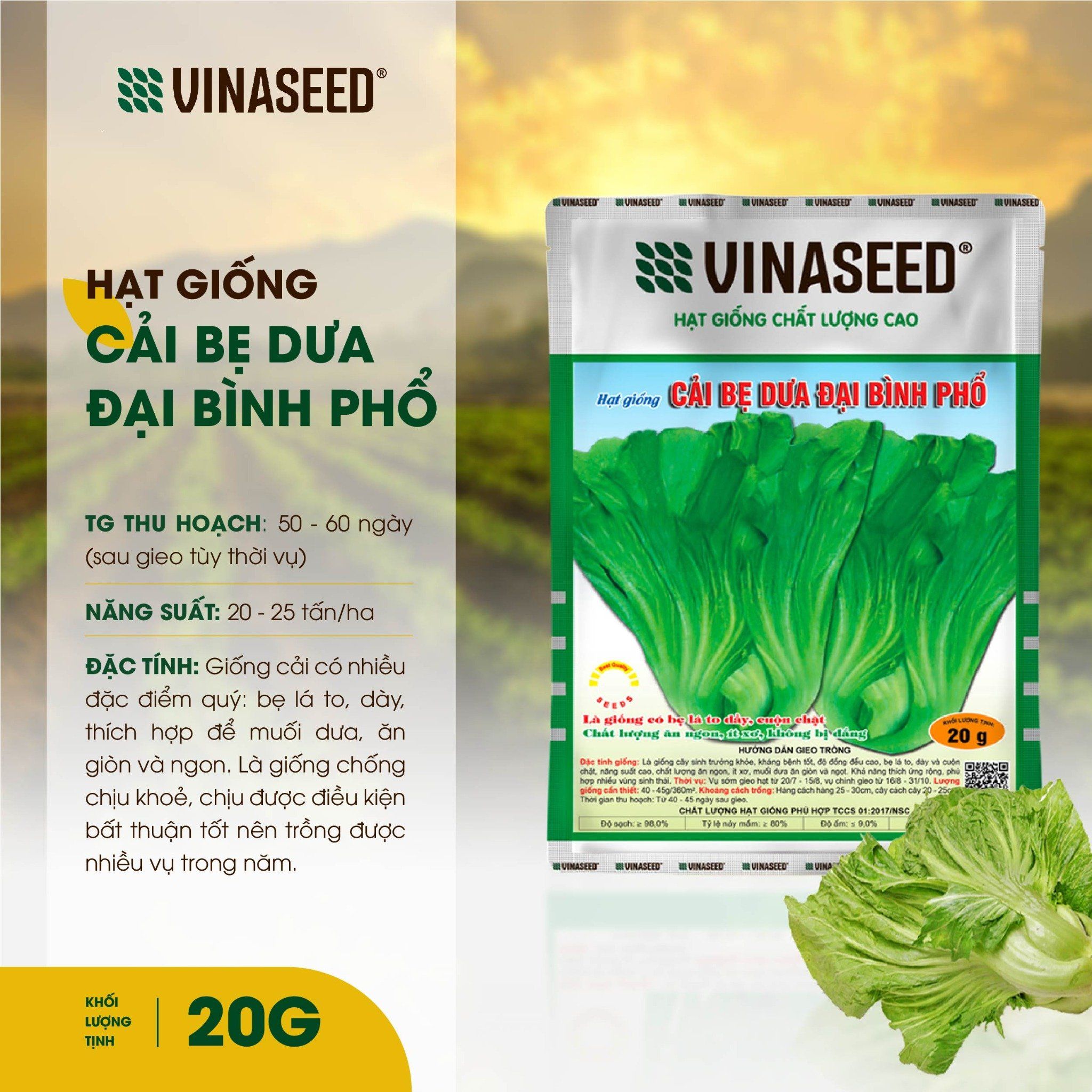  Hạt giống Cải bẹ Đại bình phổ Vinaseed Túi 20g 