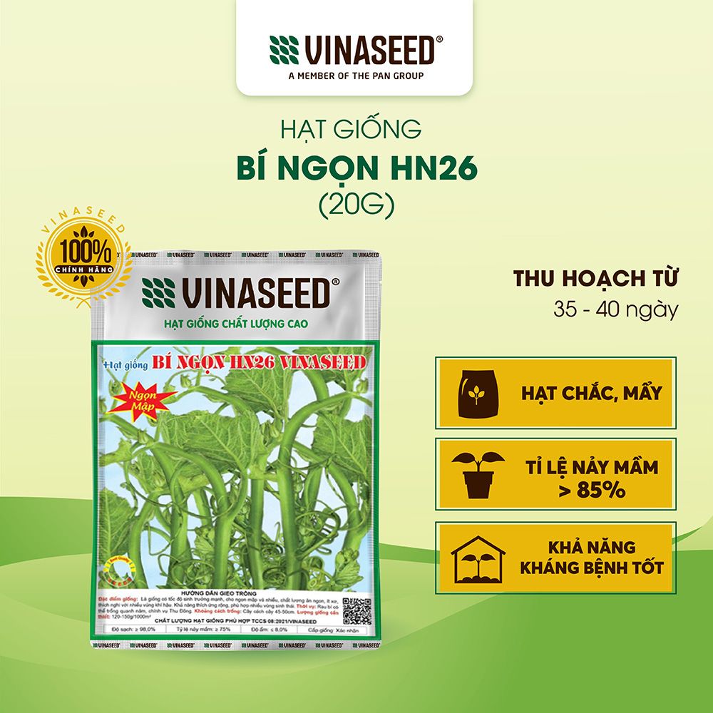  Hạt giống Bí ngọn HN26 Vinaseed 