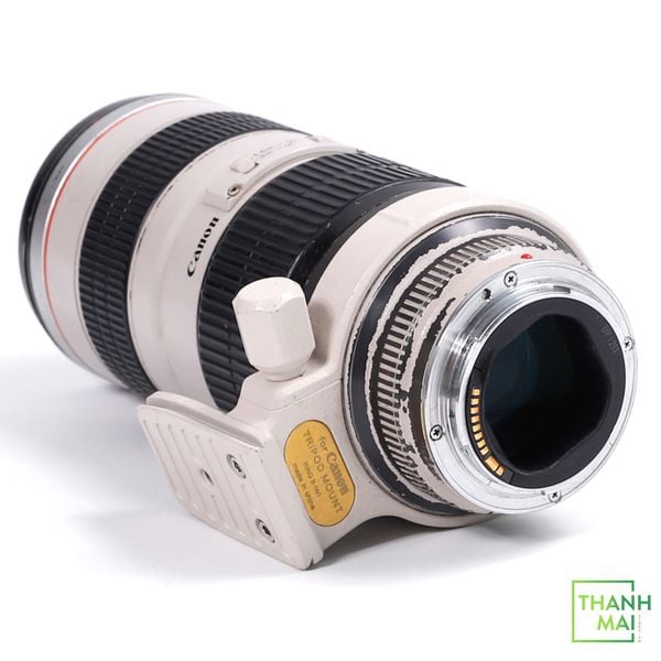 Ống kính Canon EF 70-200mm F/2.8L USM