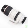 Ống kính Canon RF 100-500mm f/4.5-7.1 L IS USM