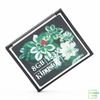 Thẻ Nhớ CompactFlash ( CF ) Kingston Elite Pro 8 GB 133x | CF/8GB-S2