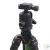 Tripod chân máy ảnh Benro A650-FN2 chính hãng