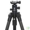 Chân máy ảnh Slik 813CF Pro Carbon Fibre kèm Đầu bi Benro Ballhead - B1