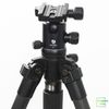 Chân máy ảnh Slik 813CF Pro Carbon Fibre kèm Đầu bi Benro Ballhead - B1