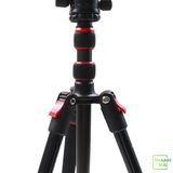 SmallRig CT-10 Aluminum Travel Tripod with Ball Head