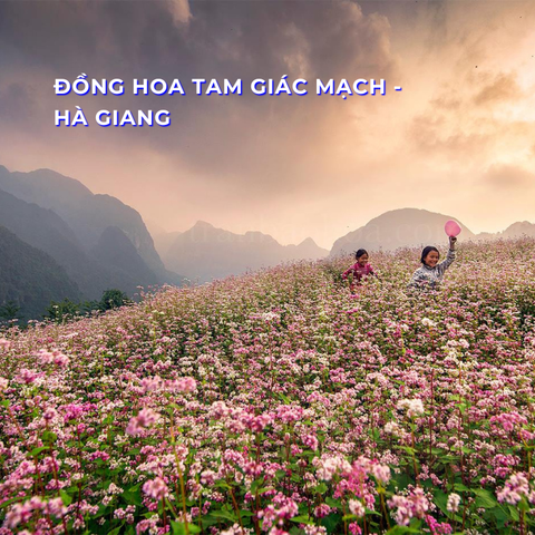 MIỀN BẮC ĐÔNG TÂY 03 : Nội Bài - Hà Giang - Đồng Văn - Thác Bản Giốc - Pác Bó - Hồ Ba Bể