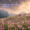 MIỀN BẮC ĐÔNG TÂY 03 : Nội Bài - Hà Giang - Đồng Văn - Thác Bản Giốc - Pác Bó - Hồ Ba Bể