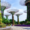 SINGAPORE - MALAYSIA : Singapore - Johor Baru - Malacca - Genting - Kuala Lumpur