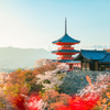 NHẬT BẢN CUNG ĐƯỜNG VÀNG: Tokyo - Fuji - Yamanashi - Kyoto - Osaka