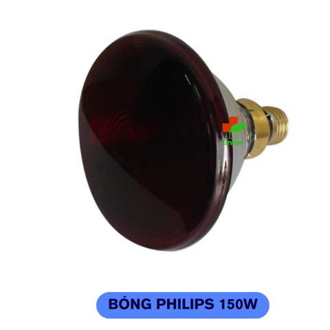  ĐHN - Bóng đèn hồng ngoại Philip 150W 