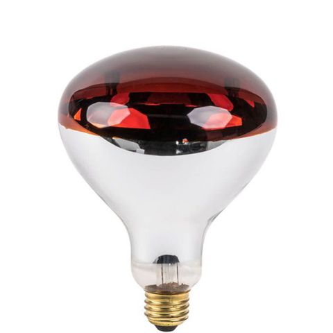  ĐHN - Bóng đèn hồng ngoại Dichtong 
