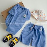  Bộ ngắn xuất Hàn BTBG cotton giấy 