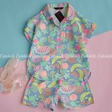  Bộ Pijama quần ngắn hàng xuất xịn 