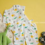  Bộ ngắn Isoop cotton giấy 