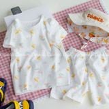  Bộ ngắn xuất Hàn BTBG cotton giấy 