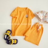  Bộ ngắn xuất Hàn BTBG cotton giấy 