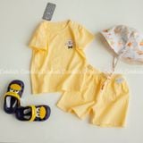  Bộ ngắn xuất Hàn BTBG cotton giấy 