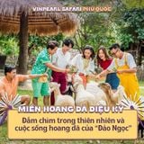  Phú Quốc - Vinwonders & Safari 