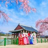  Nhật Bản - Ngắm hoa Anh Đào 5N4Đ 