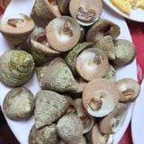  Côn Đảo - Di sản tâm linh 