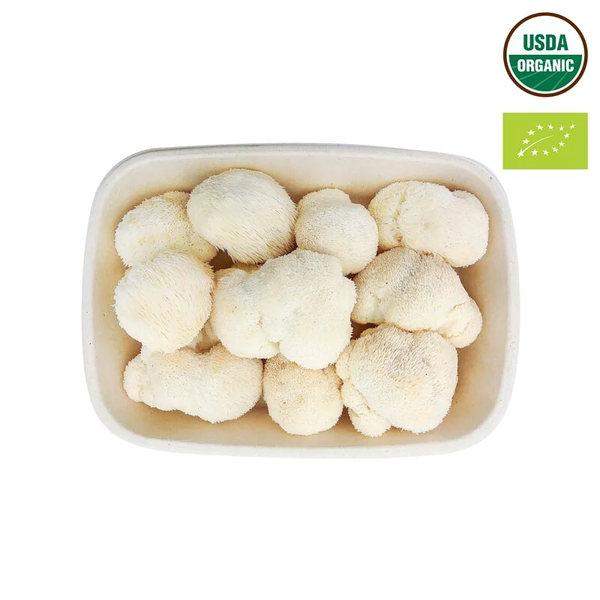  Nấm Hầu Thủ tươi | Hữu cơ | Khay | 500g 